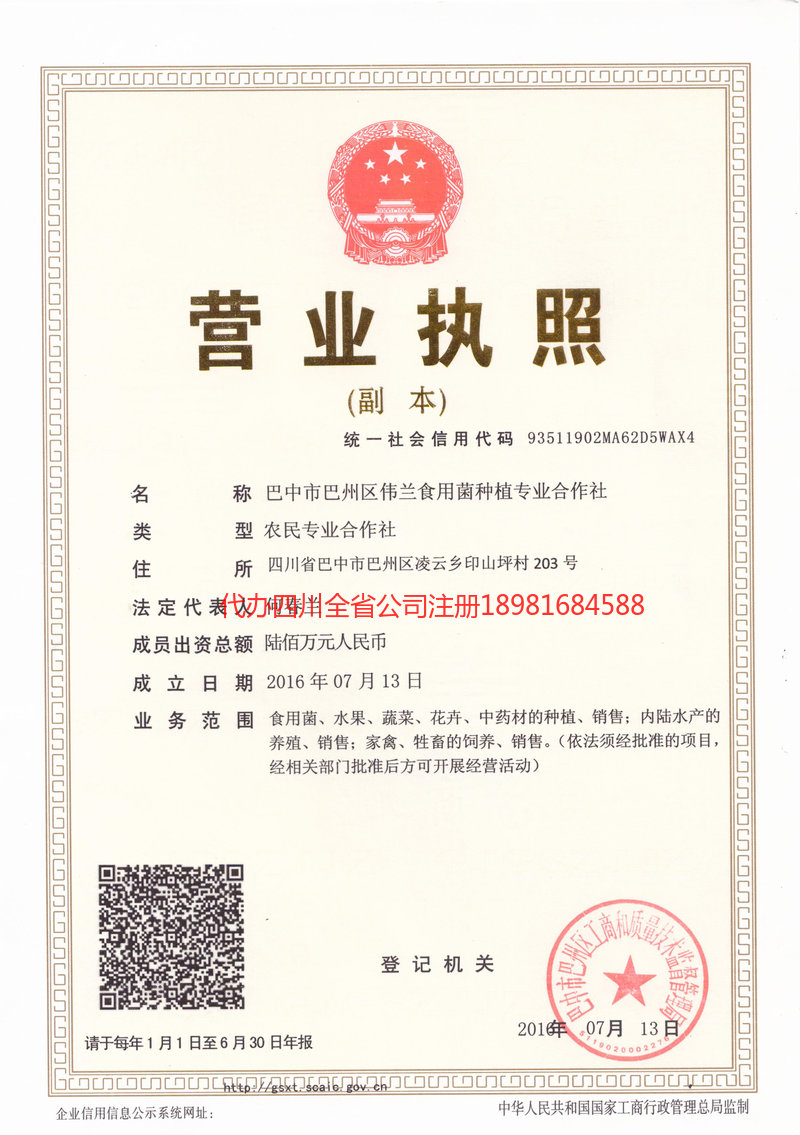 灵武灵武伟兰食用菌种植专业合作社